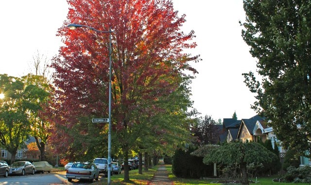 Cambie Corridor Laneway House for Rent!