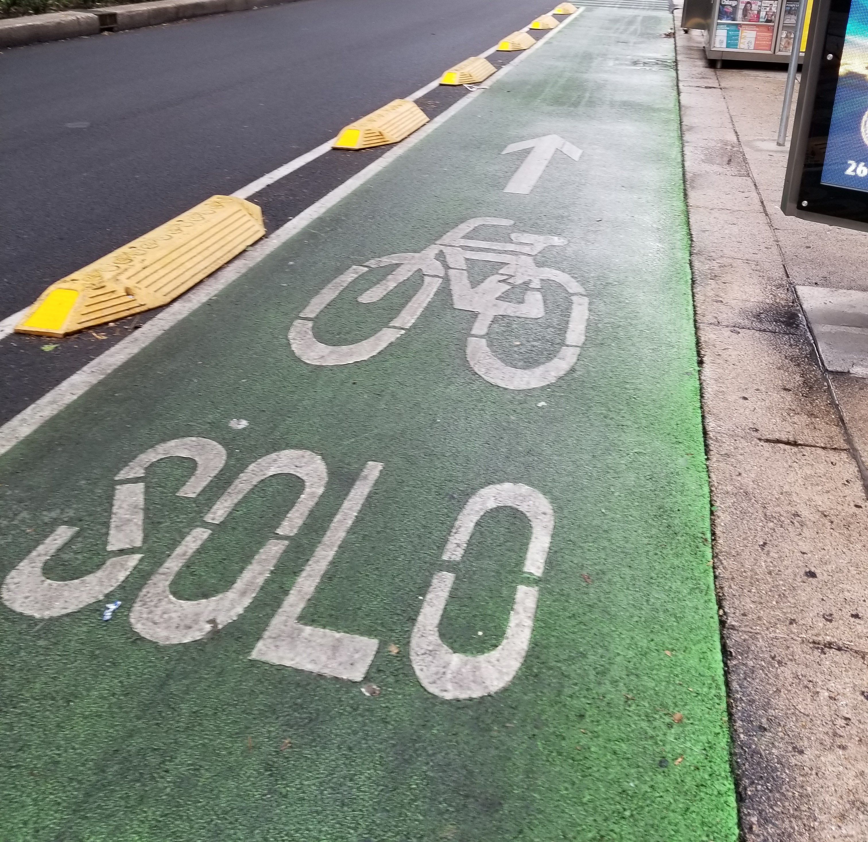 Bike Lanes In Mexico City